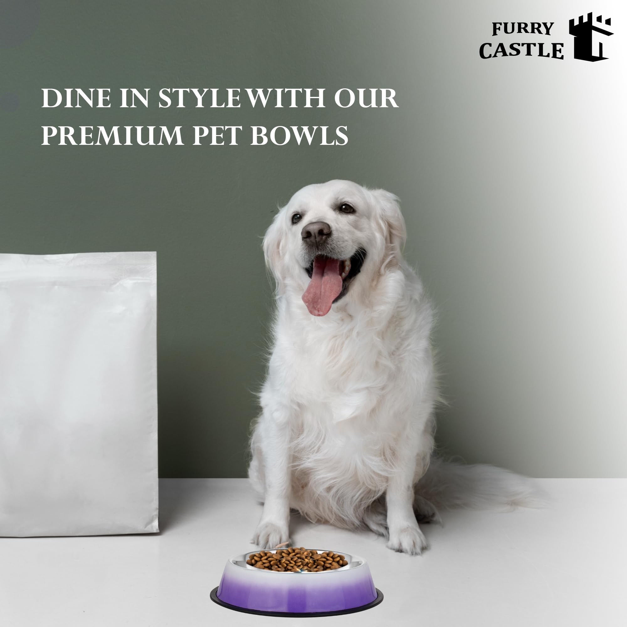 Furry Castle Printed Anti-Skid Stainless Steel Water and Food Feeding Bowl for Small Dogs, Puppies, Cats | Easy to Clean Pet Feeder for Small Dogs, (450ml, Small, Purple) 3