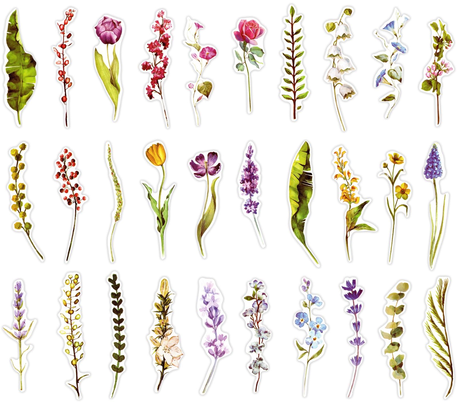 Colorful Flower Bookmarks, 30 PCS (Unknown Flower)