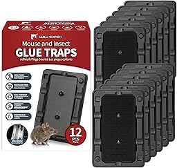 LULUCATCH Mouse & Insect Traps 12 Pack, Heavier Sticky Traps with Non-Toxic Glue for Small Mice & Insects. Sticky Mouse Traps Indoor for Home, Easy to Set