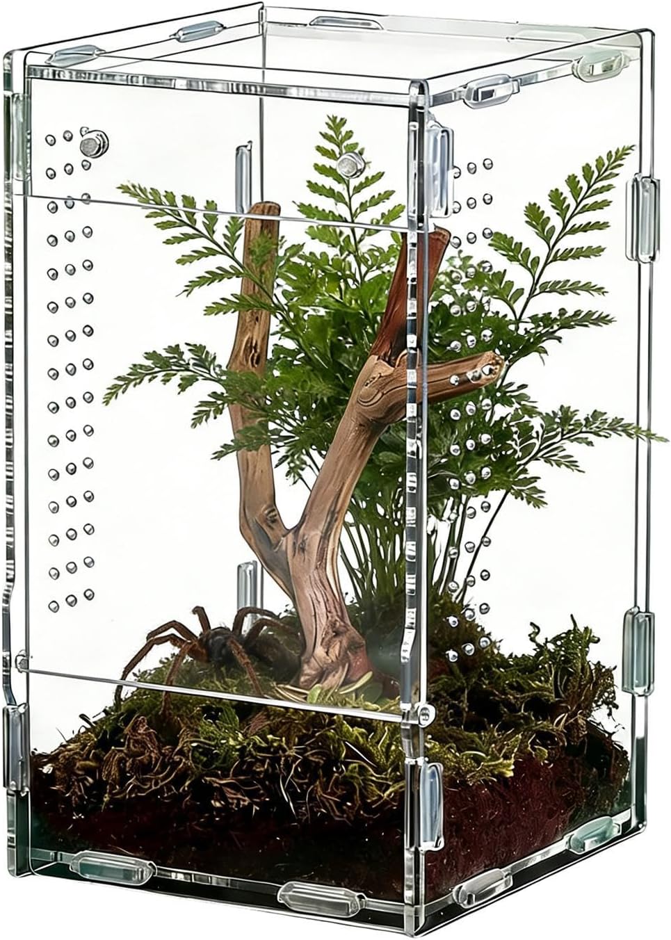 Reptile Terrarium,Escape Proof Tarantula Habitat Cage,Escape Proof Reptile Tank - for Observation Home Pet Store Bedroom Living Room Office