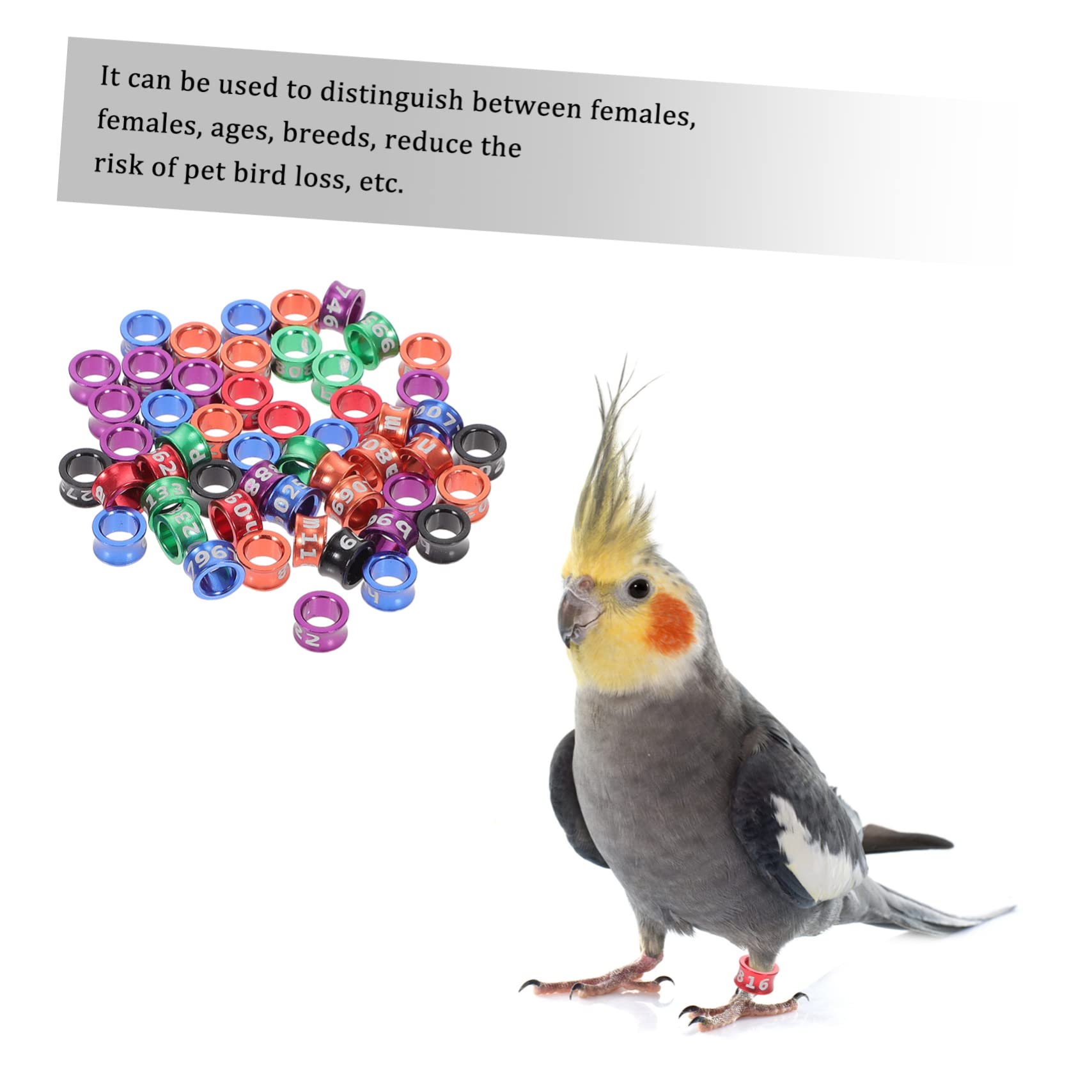 Mipcase 250piezas Anillos De Identificación para Aves Anillos Metálicos para y para Patas De Aves Brillantes y Diseño De Cierre