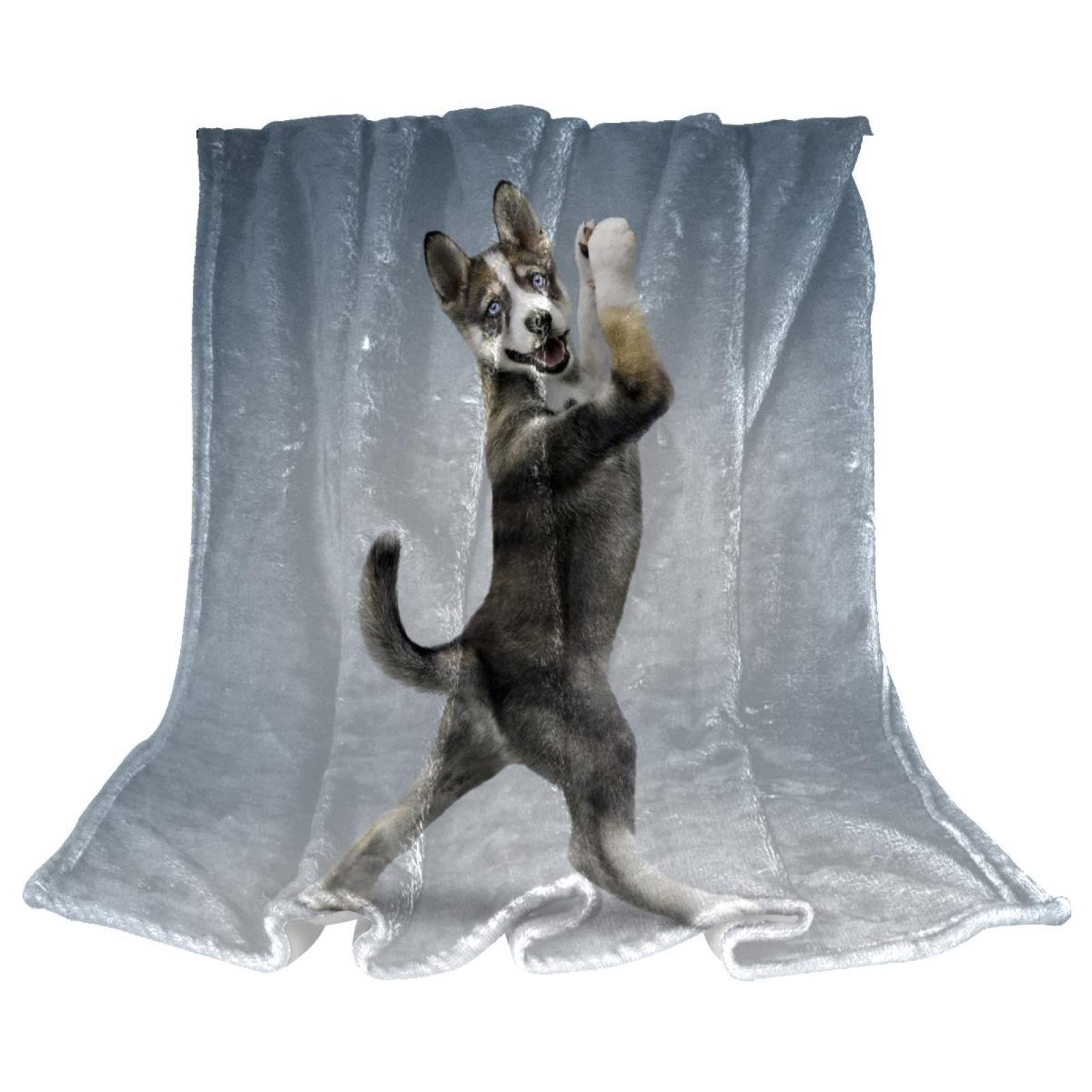 Couverture polaire chien microfibre 150x100cm jeté de canapé chaud