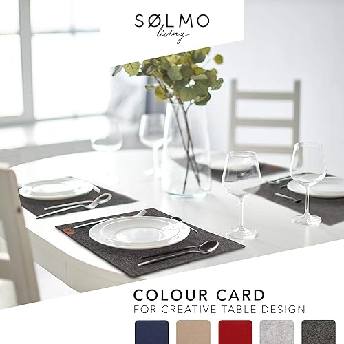 Miniatura 4 de Sølmo - Juego de 6 manteles individuales de fieltro de alta calidad, lavables, manteles individuales de 16 x 13 pulgadas, lavables, posavasos de