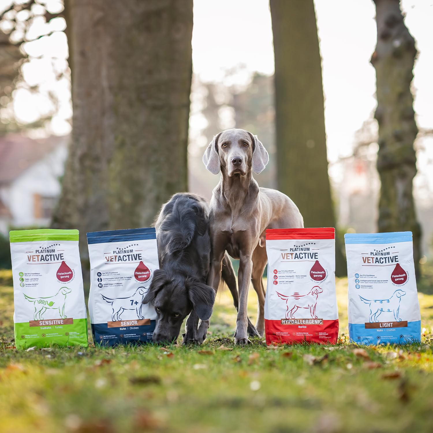 PLATINUM - Hundenahrung VETACTIVE Light aus Fleischsaftgarung - 5kg Hundefutter trocken nährstoffreich wie Barf - besonders schmackhaftes Hundetrockenfutter für Hunde - fett- und kalorienreduziert | Saftiges Trockenfutter aus Frischfleisch für Hunde mit Ü