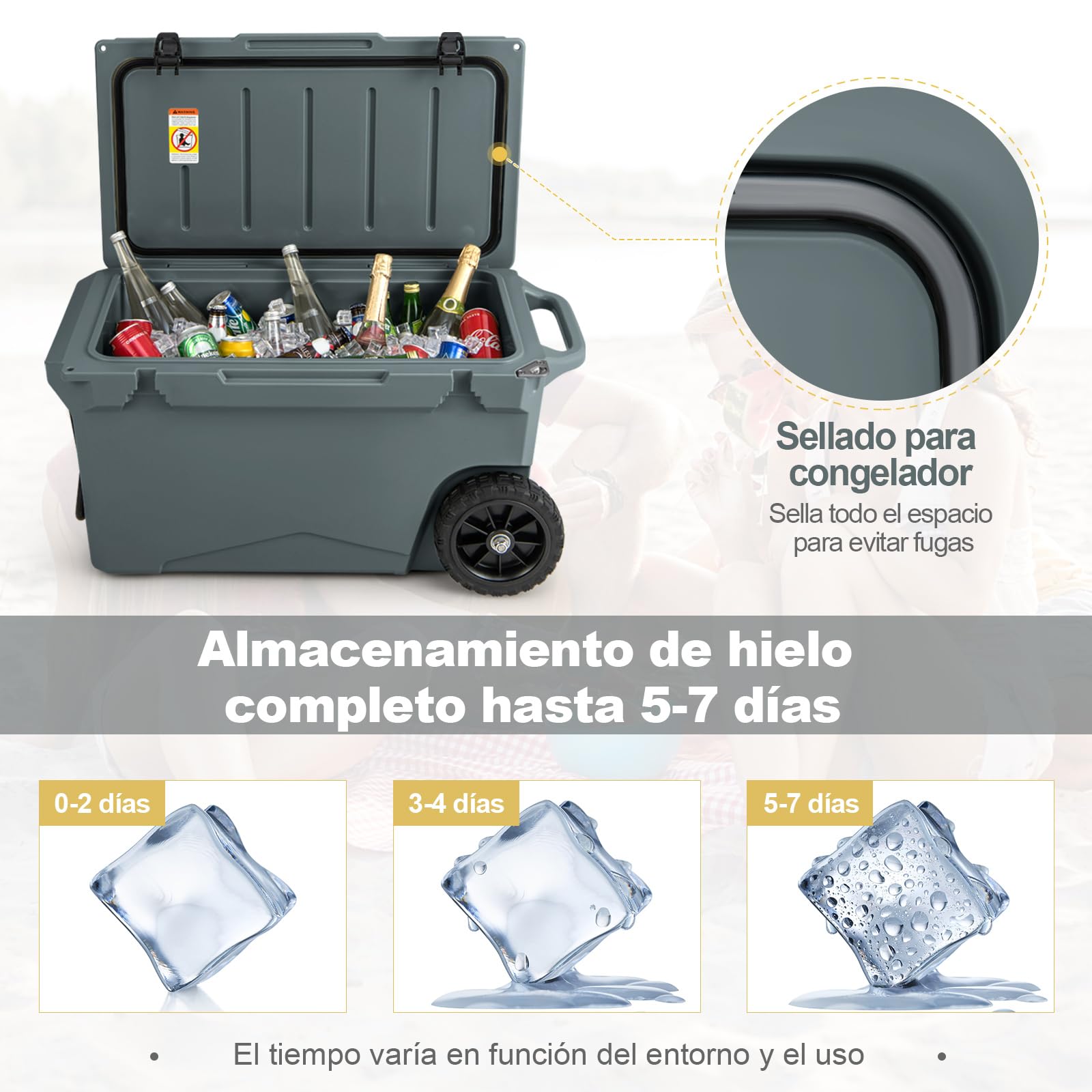 COSTWAY Enfriador Rotomoldeado, Hielera Portátil con Portavasos Integrados, Abridor de Botellas, Retención de Hielo Durante 5-7 Días, a Prueba de Fugas para Camping, Picnic, Pesca