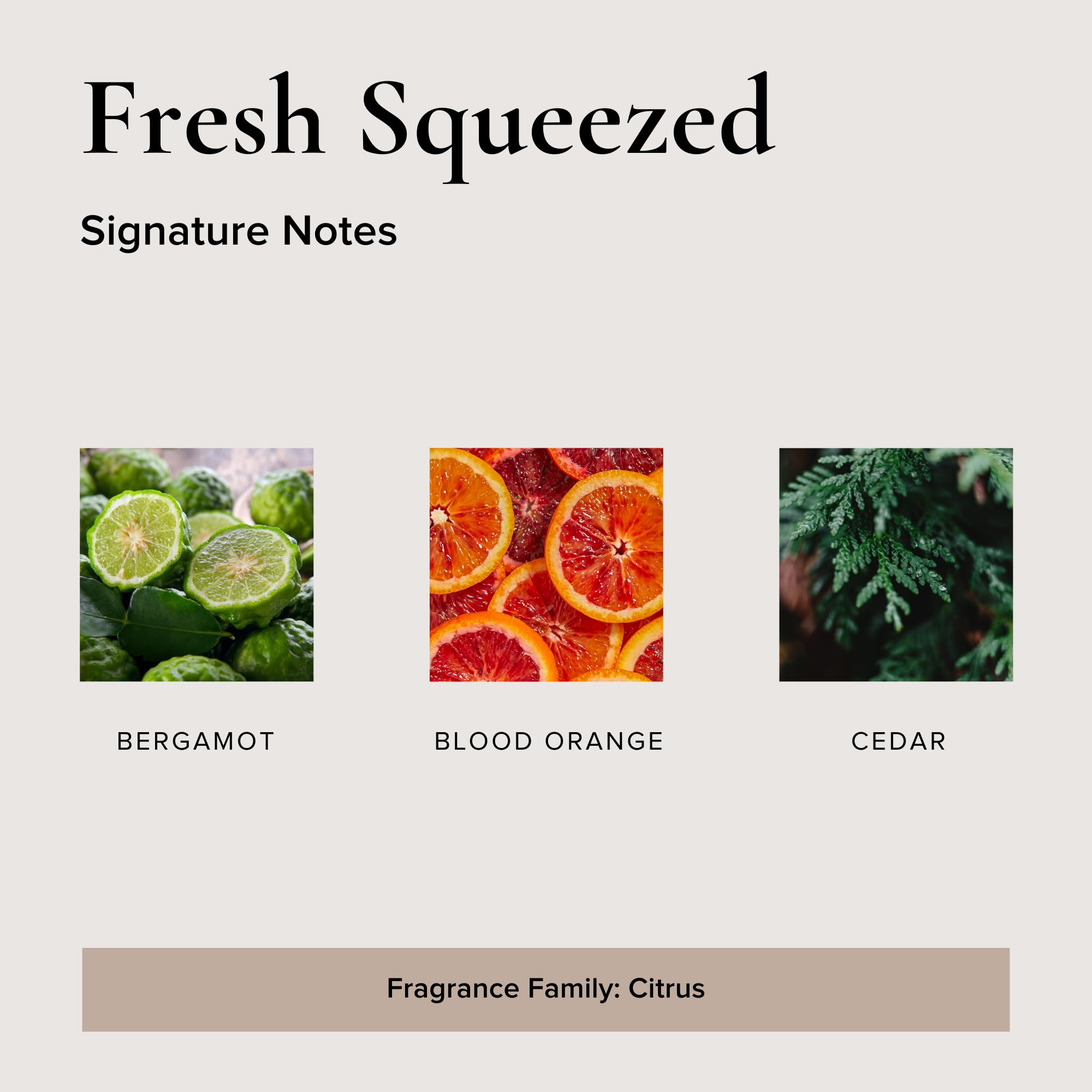 Fresh Squeezed - Ambientador para coche, paquete de 4