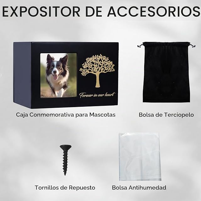 Foto 5 de 8 de DiDiBirDi Urnas para Mascotas para Perro o Gato