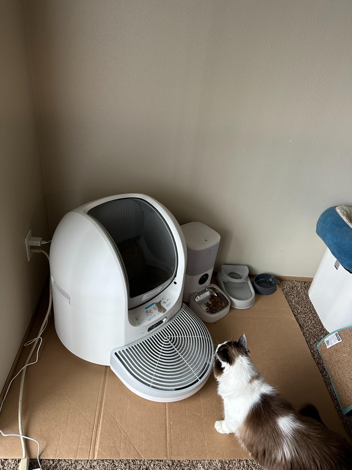 ezMeow Automatic Cat Litter Box,SelfCleaning Cat Litter Box Smart Robot for Multi