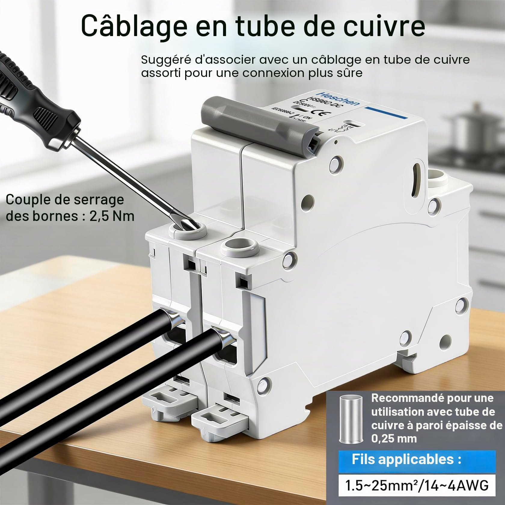 Heschen Lot de 2 disjoncteurs miniatures DC HSB6C-DC, 2 pôles, DC500V 20A, Disjoncteur de puissance photovoltaïque, pour système photovoltaïque solaire, panneaux solaires, système de treillis (20A)