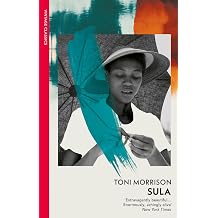Sula A landmark novel on Black womanhood, community, and the price of freedom