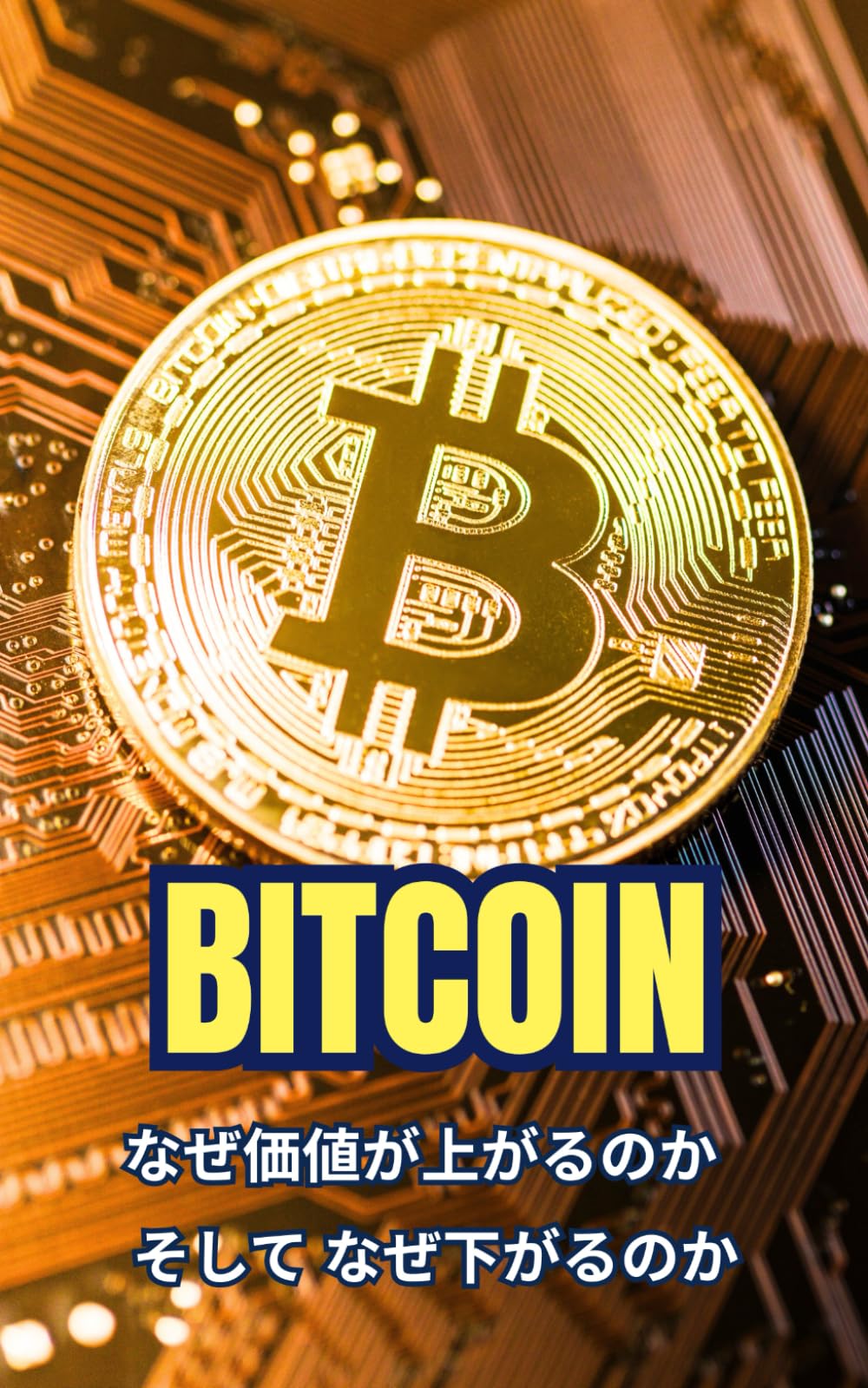 Bitcoin: なぜ価値が上がるのか、そしてなぜ下がるのか