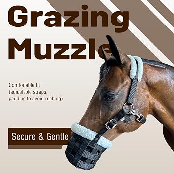 Huntley Horse Grazing Muzzle