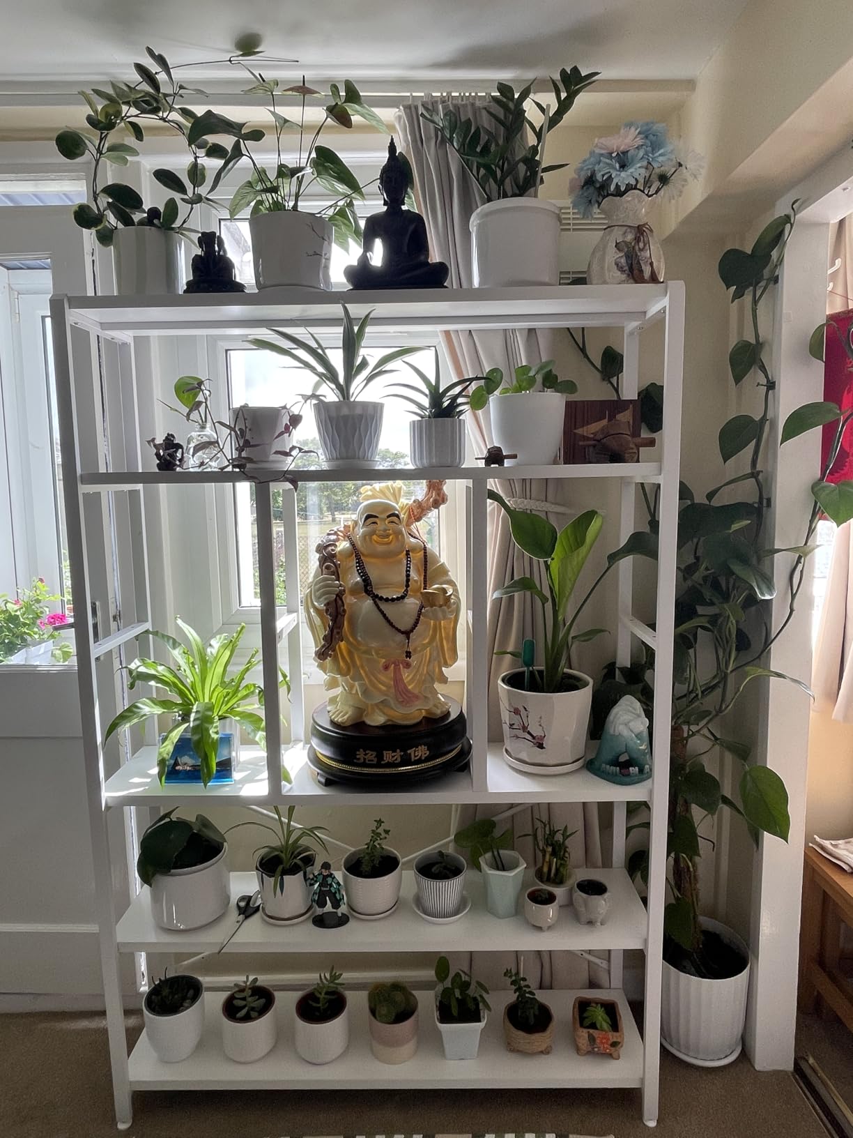 Customer photo