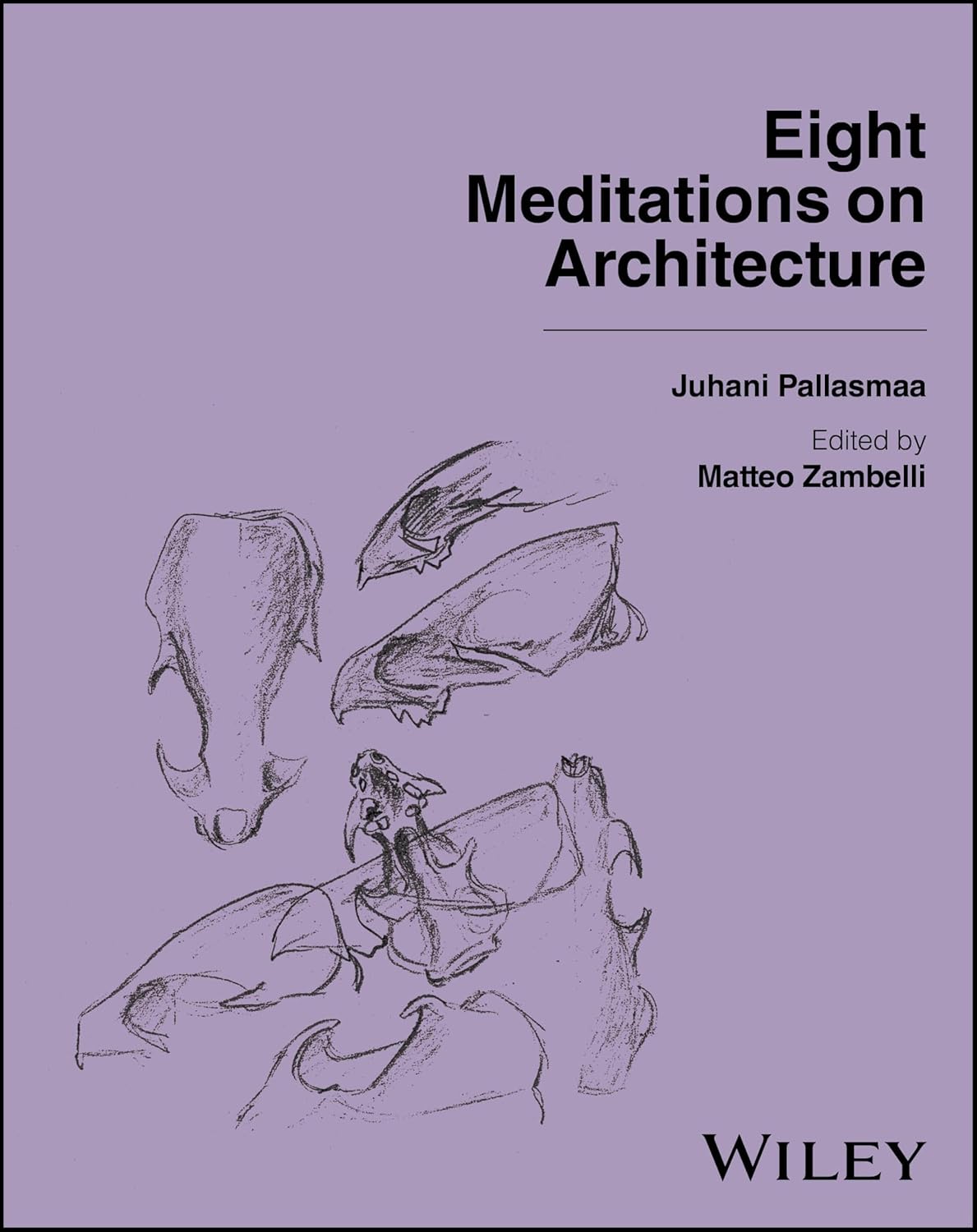 Eight Meditations on Architecture by Juhani Pallasmaa & Alberto Campo Baeza: Timeless Essays on Beauty, Light, Memory