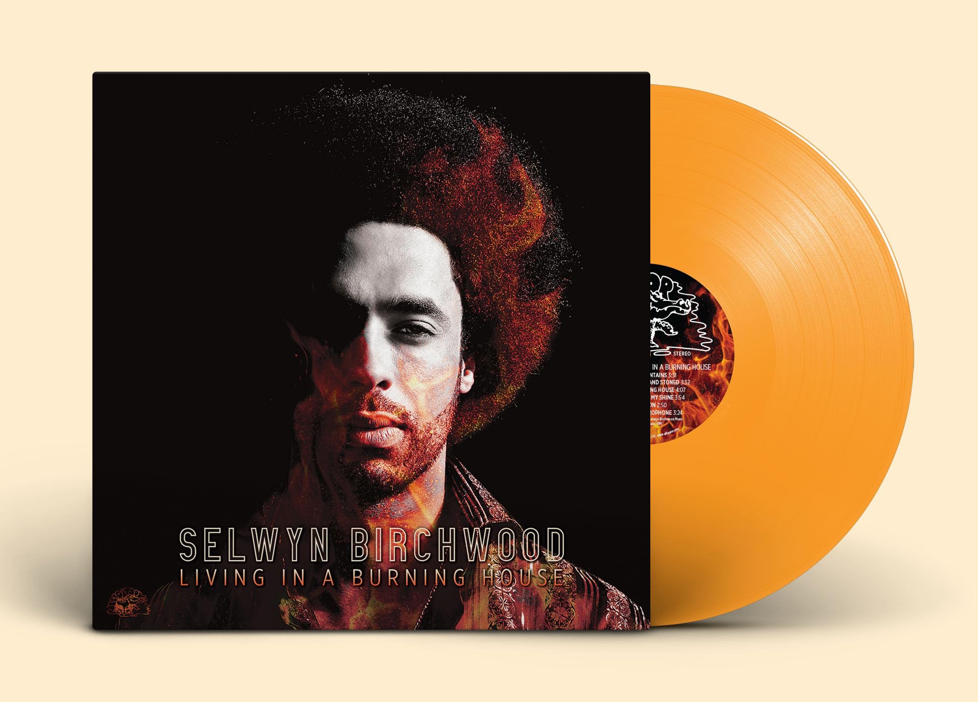 Living In A Burning House [VINYL]