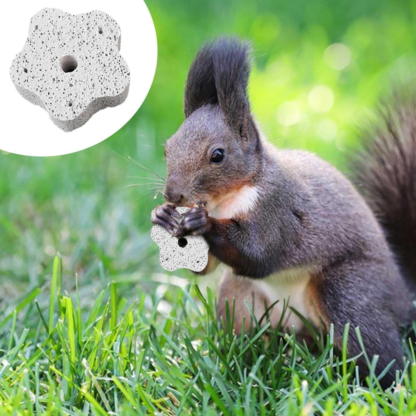 2 Pack Natural Calcium Mineral Stone: Hamster Teeth Grinding Toy,Guinea Pig Chew Toys for Small Pets Including Parrots as Chewing Block Snacks - Image 4