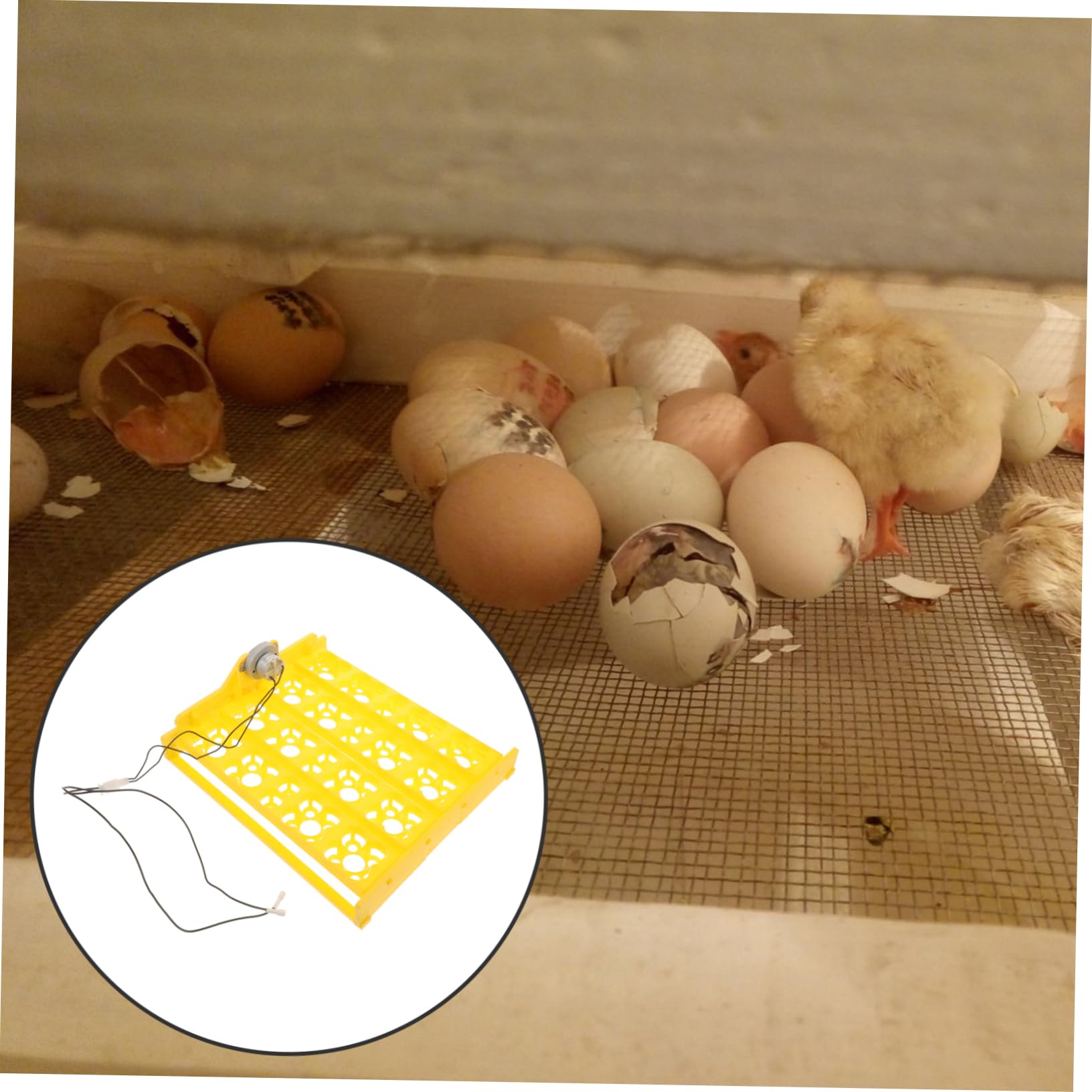 Happyyami Vassoio in o per Osservazione Domestico Laboratorio per Uso in 16 Incubatrice Automatico Girare Plastica Gialla Riutilizzabile 72 Pezzi Uova di Gallina Oca