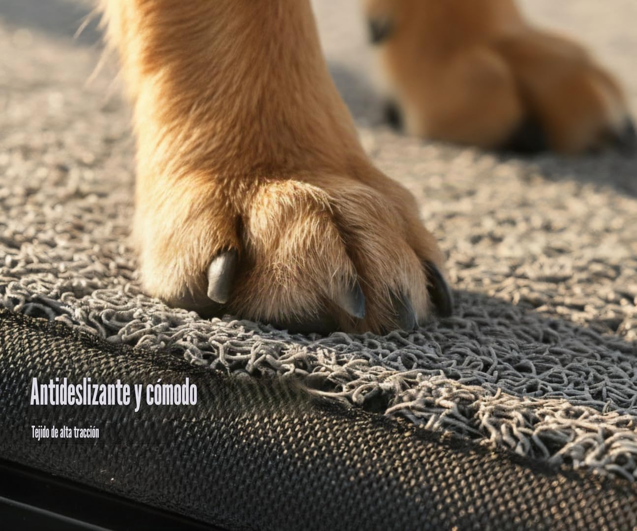 Rampa para mascotas (160 x 44 cm), rampa para perros para automóvil, SUV y camión, 63 pulgadas de largo y 17 pulgadas de ancho, rampa plegable y portátil para mascotas con superficie de