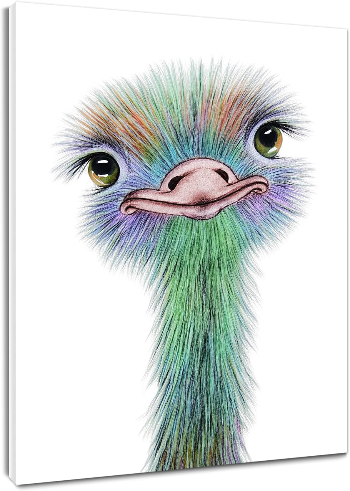 HVEST Ostrich Canvas Wall Art Watercolor Cute Animal Artwork Bird Paintings for Living Room Bedroom Bathroom Decor,Stretched and Framed Ready to Hang,12x16 inches