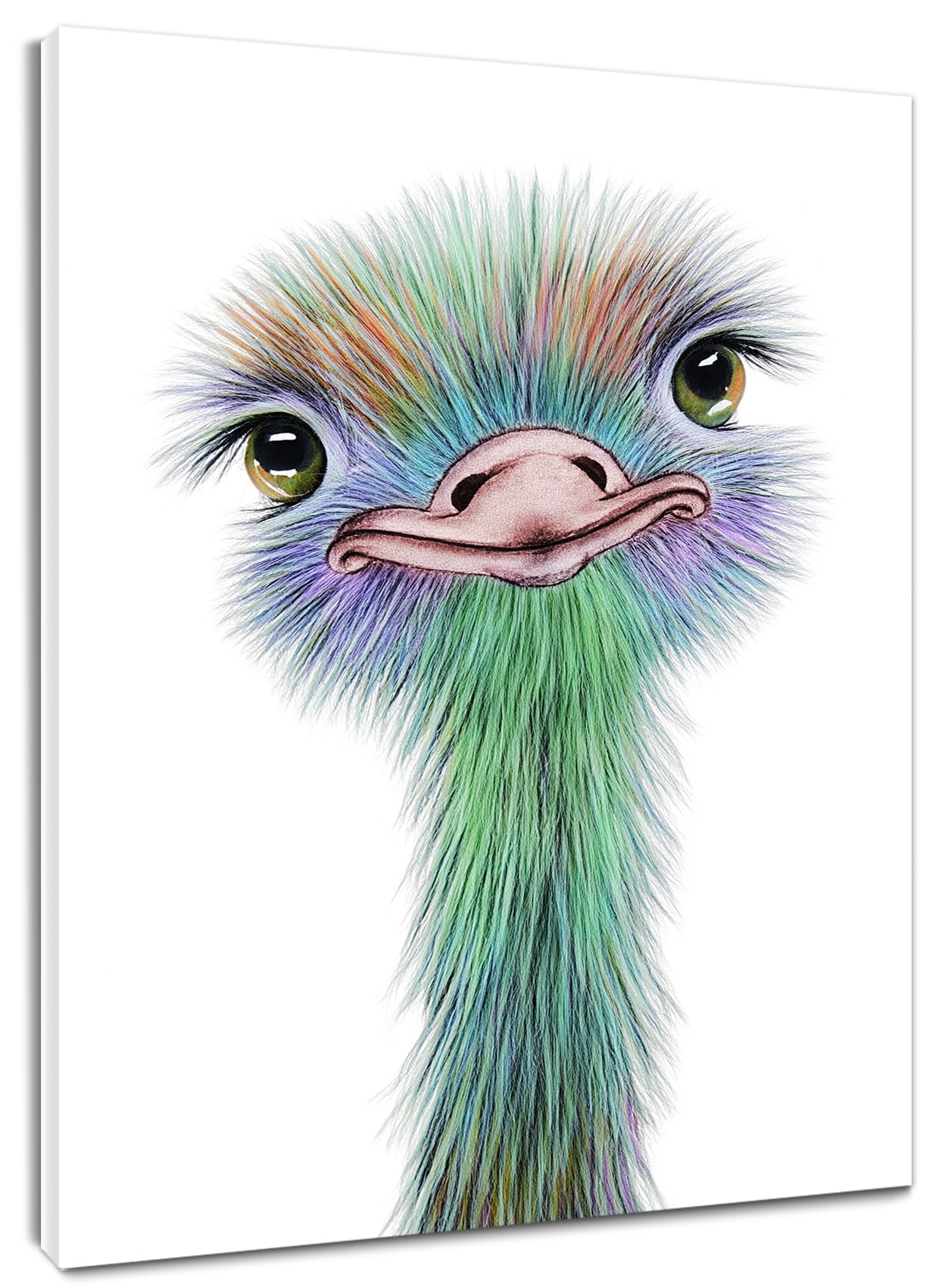 HVEST Ostrich Canvas Wall Art Watercolor Cute Animal Artwork Bird Paintings for Living Room Bedroom Bathroom Decor,Stretched and Framed Ready to Hang,12x16 inches