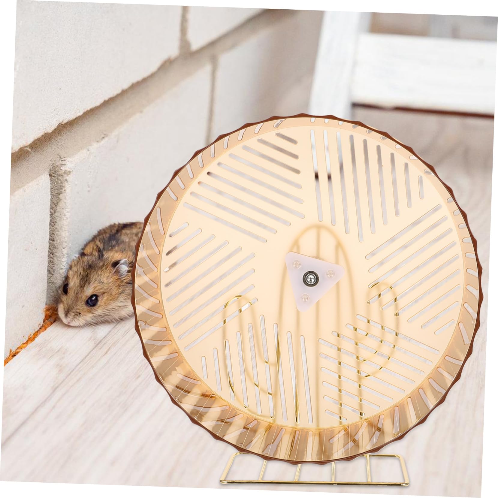 INOOMP Roue d'exercice pour Chinchilla Support, Base Stable en Plastique et Alliage, Jouet Adorable pour Cage, pour Animaux de Sport