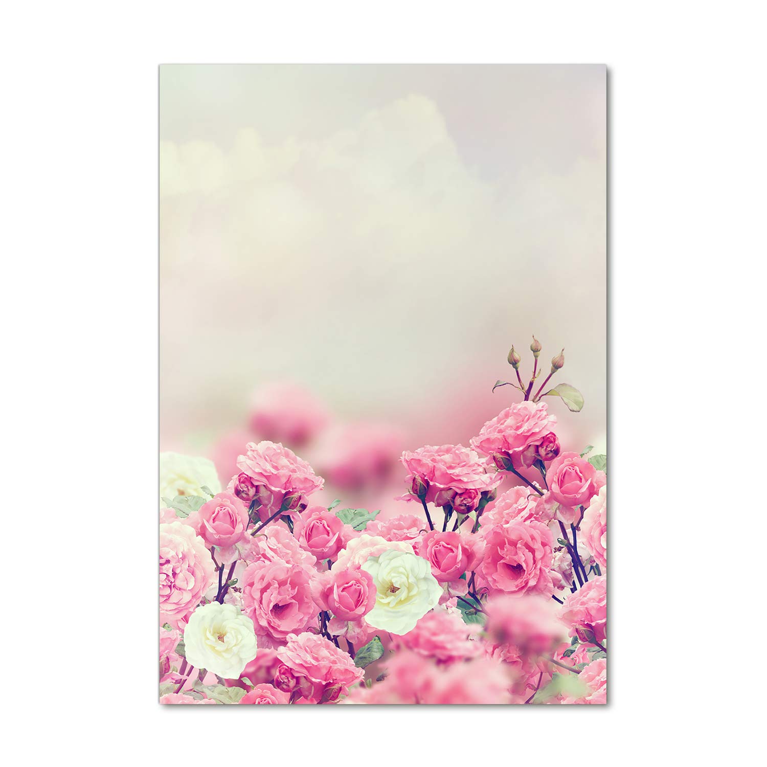 Impression sur verre acrylique Tulup 70x100 cm de rose sauvage pour décoration murale