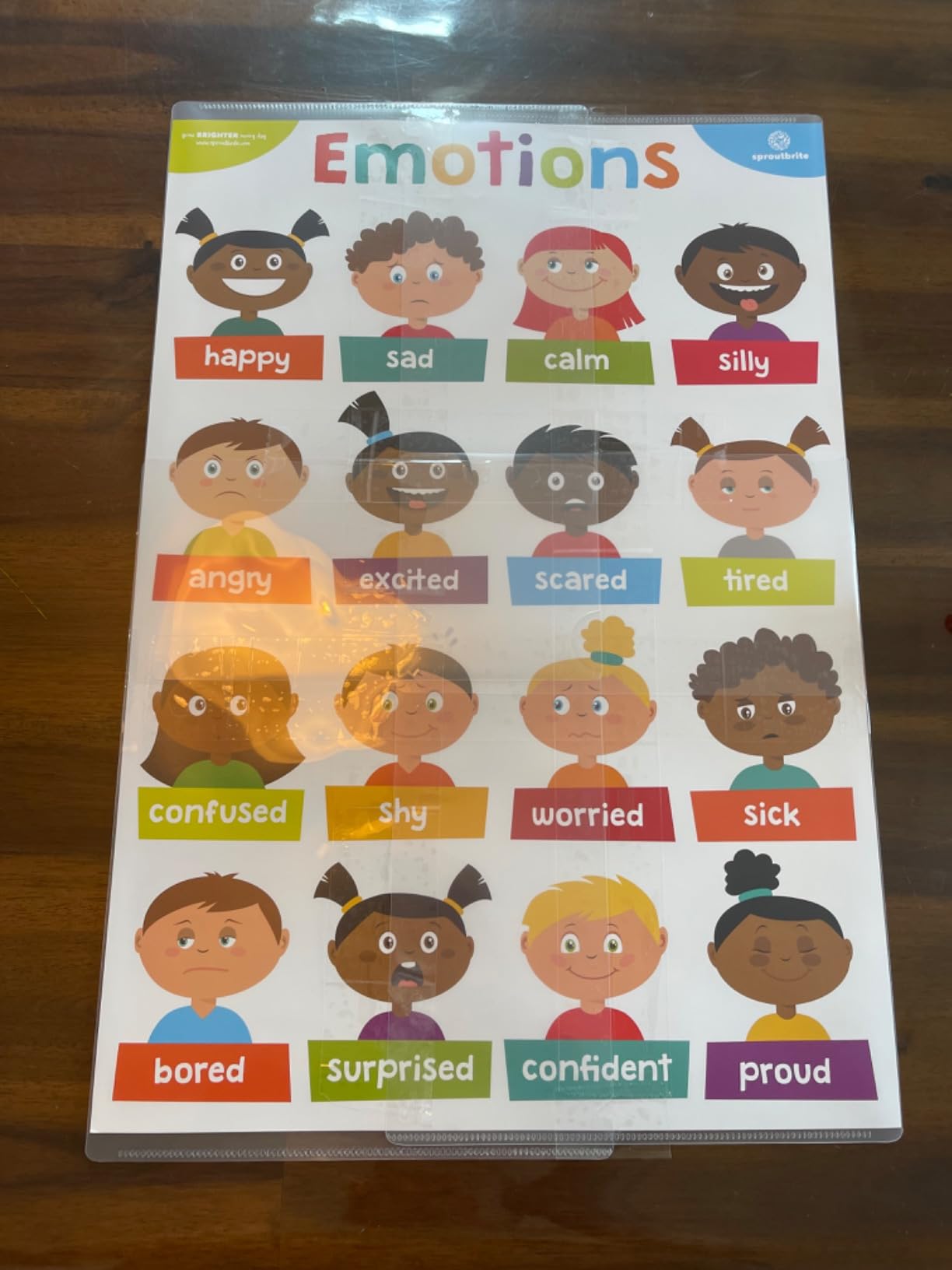 Sproutbrite Educational Posters for Toddlers - Classroom & Playroom ...