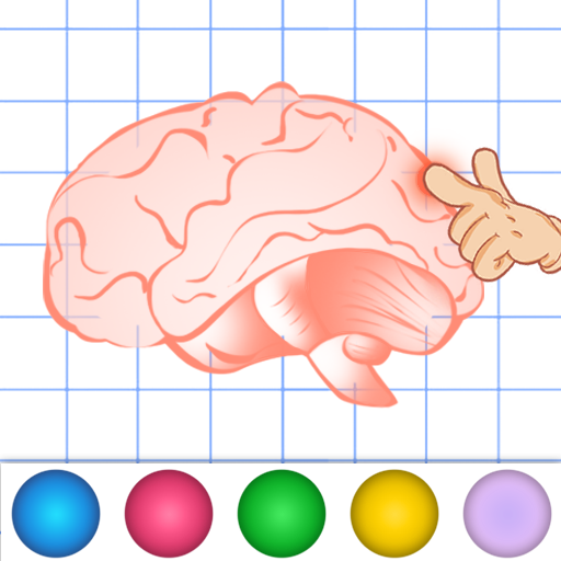 Anatomy Coloring Page: a Coloring Game For kids and Adult - App on