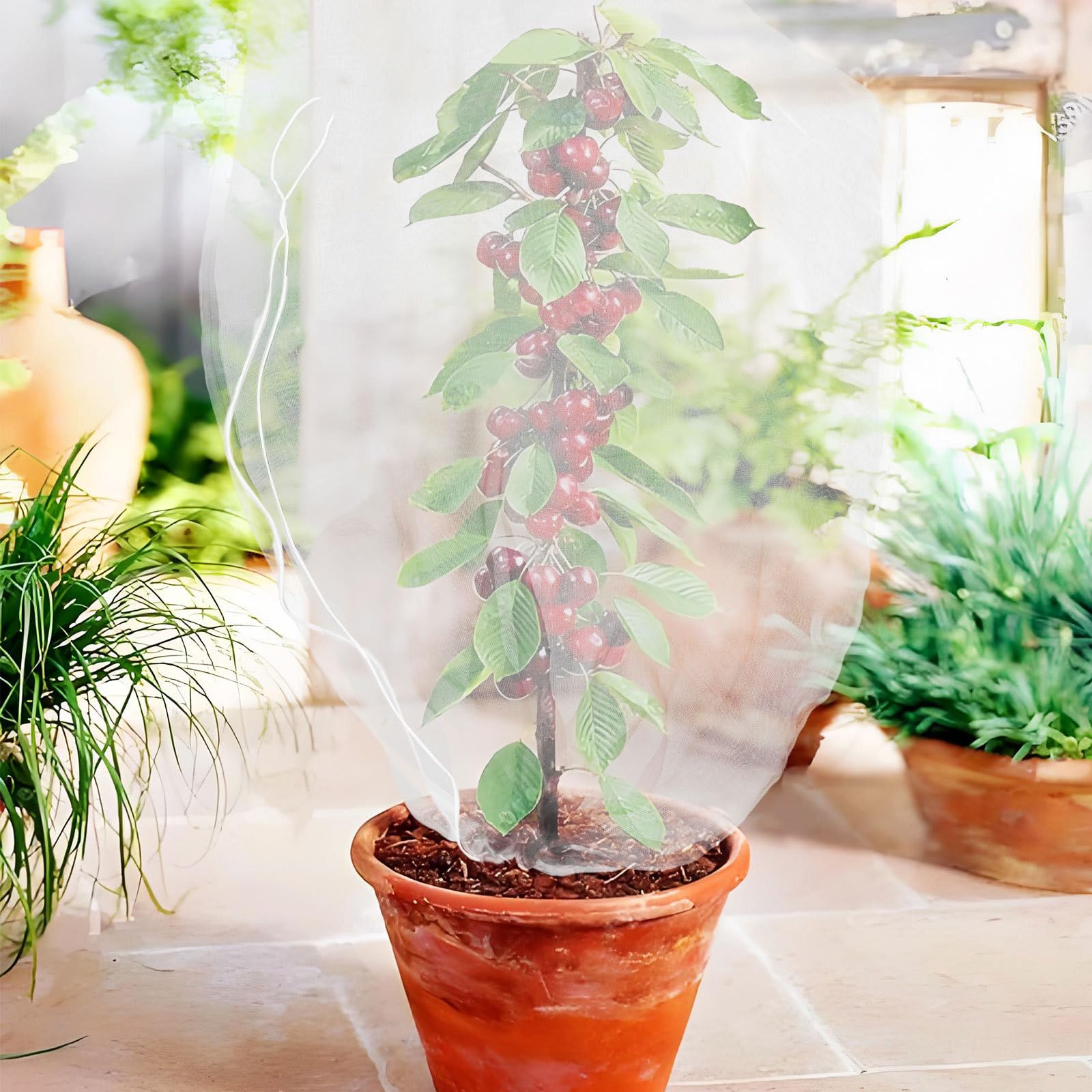 8 Piezas Red para Árboles Frutales de Nylon Blanco con Cordón | Cierre Doble con Cordón y Cremallera, para Jardinería y Huerto Permite Paso de Luz, Protección Vegetal