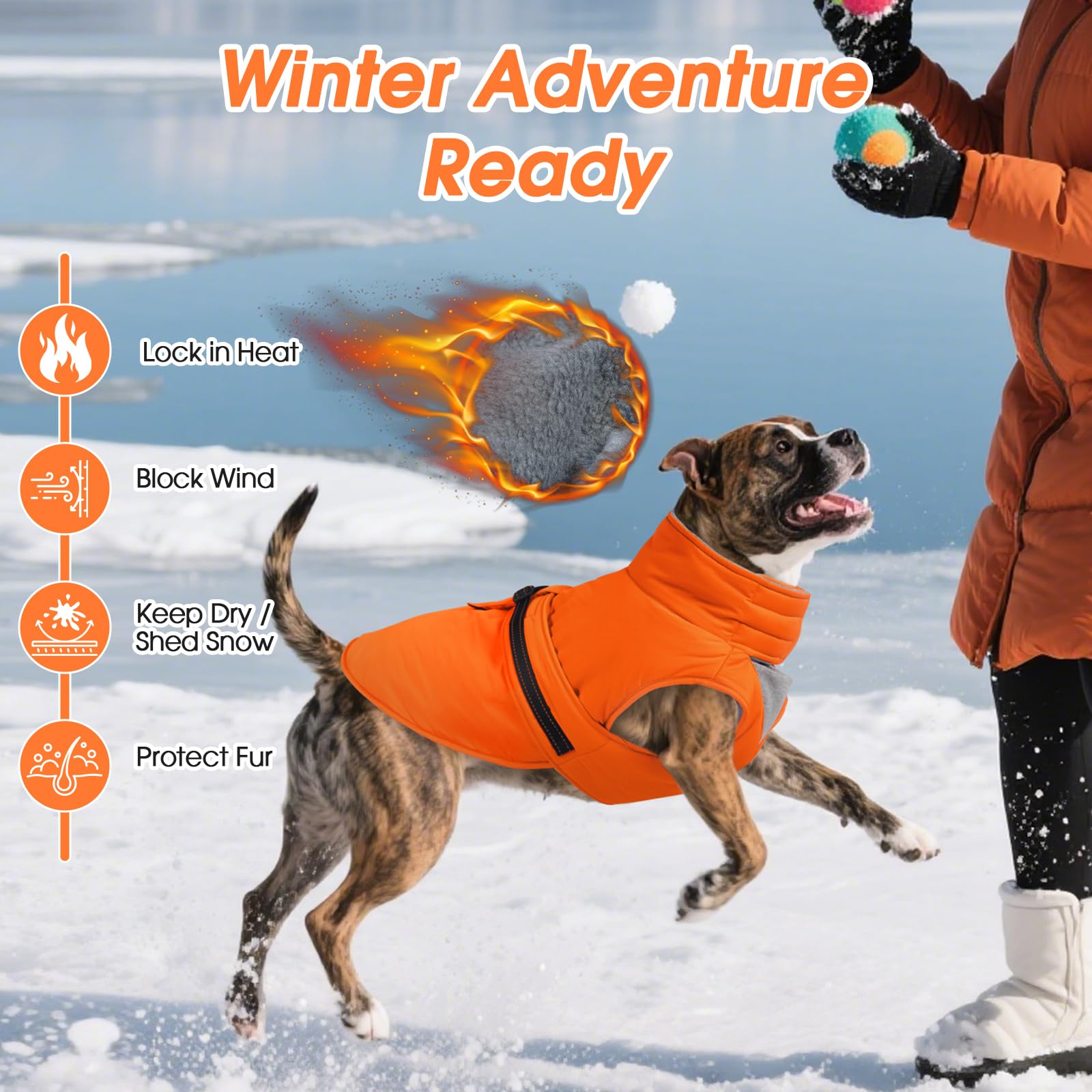 Abrigos para clima frío para perros
