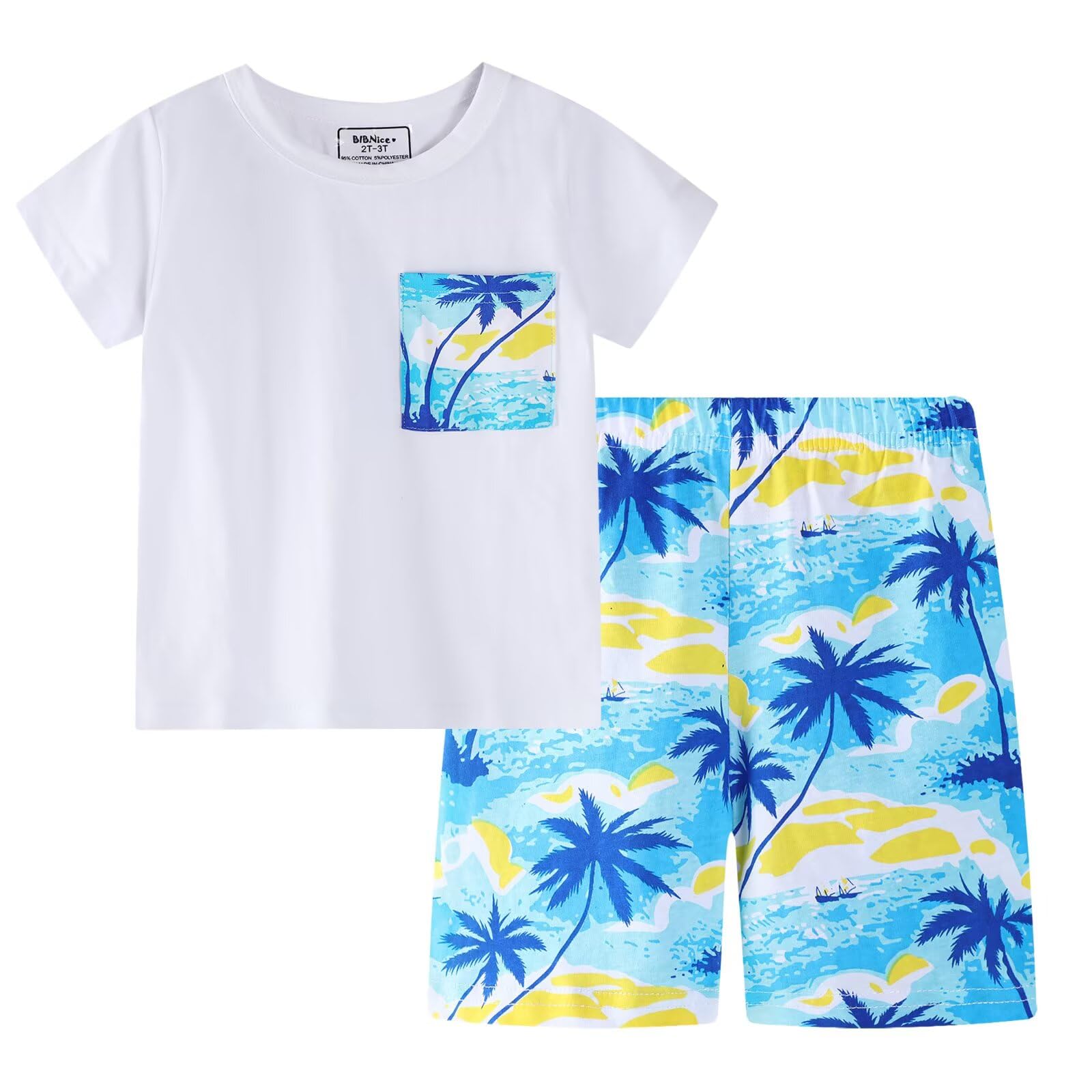 BIBNice Toddler Boy Clothes Kids Summer Cotton Outfits Shirt Short Sets Size 2-7