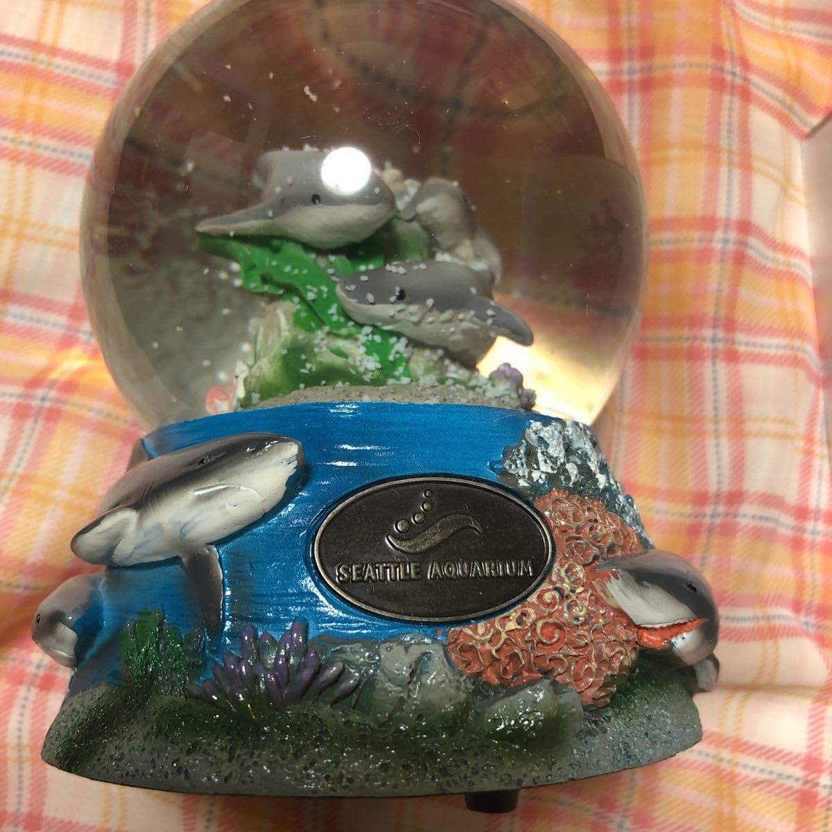 Amazon.co.jp: シアトルアクアリウム シアトル水族館 サメ 鮫 さめ