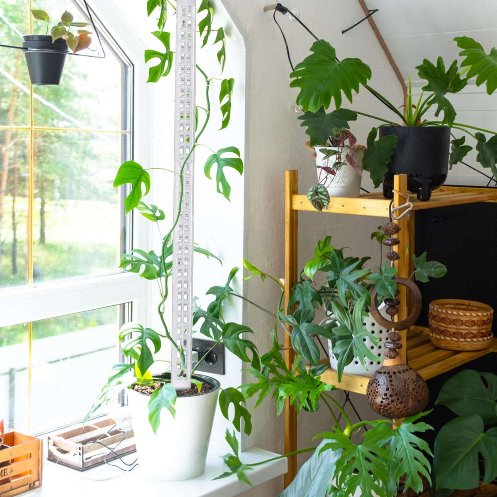 Moosstangen 64 Cm Stapelbare Stange | Mesh-Design Indoor Pflanzenstäbe Für Tomatenranken Und Kletterpflanzen In Garten, , Pflanzkübel