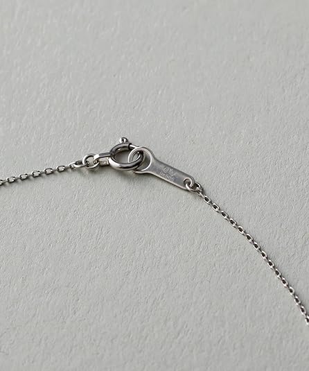 Amazon | [エテ] PT900/850 パーティクル ネックレス 461057 FREE