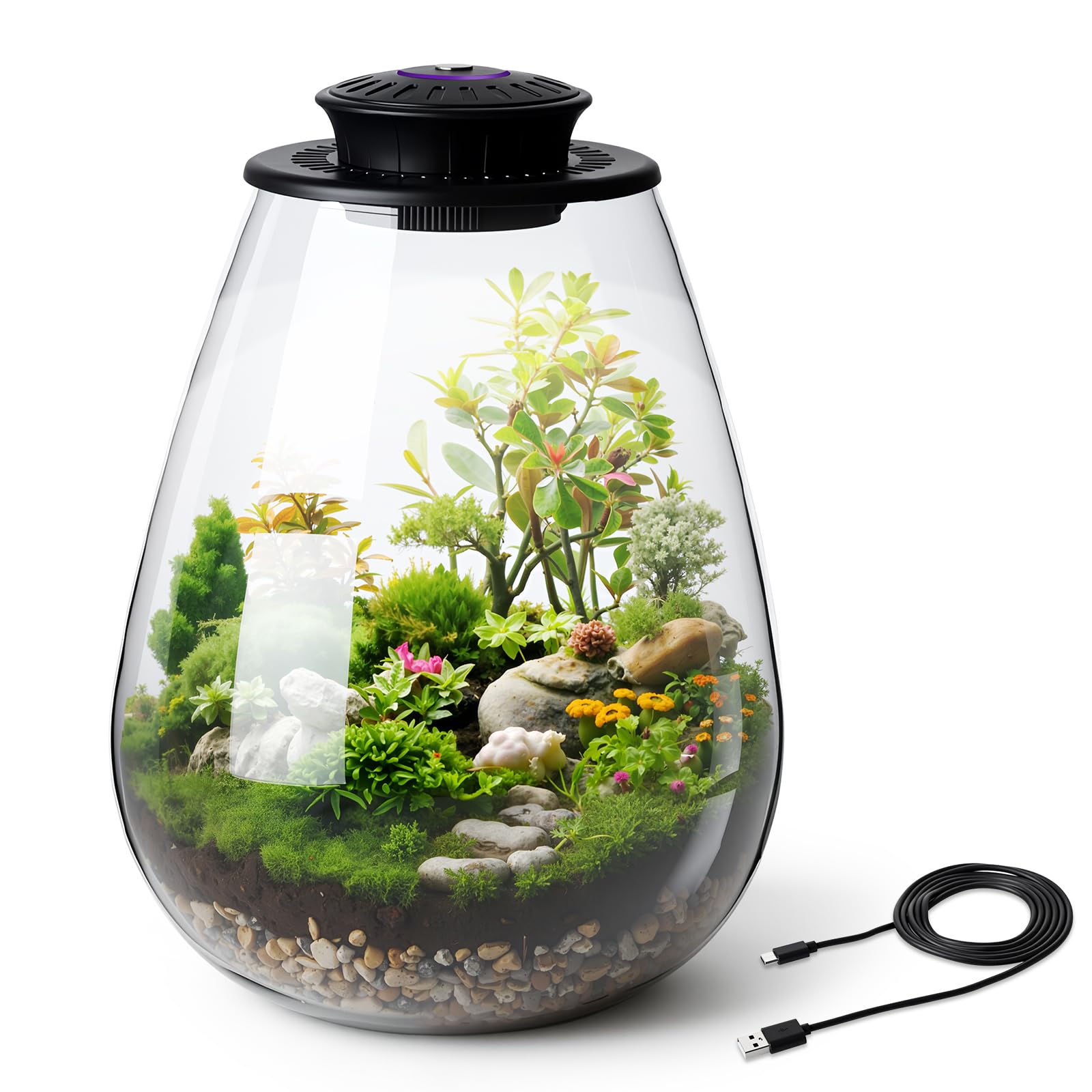 Terrarium en verre avec lampe de croissance 17x22cm contre le manque de lumière