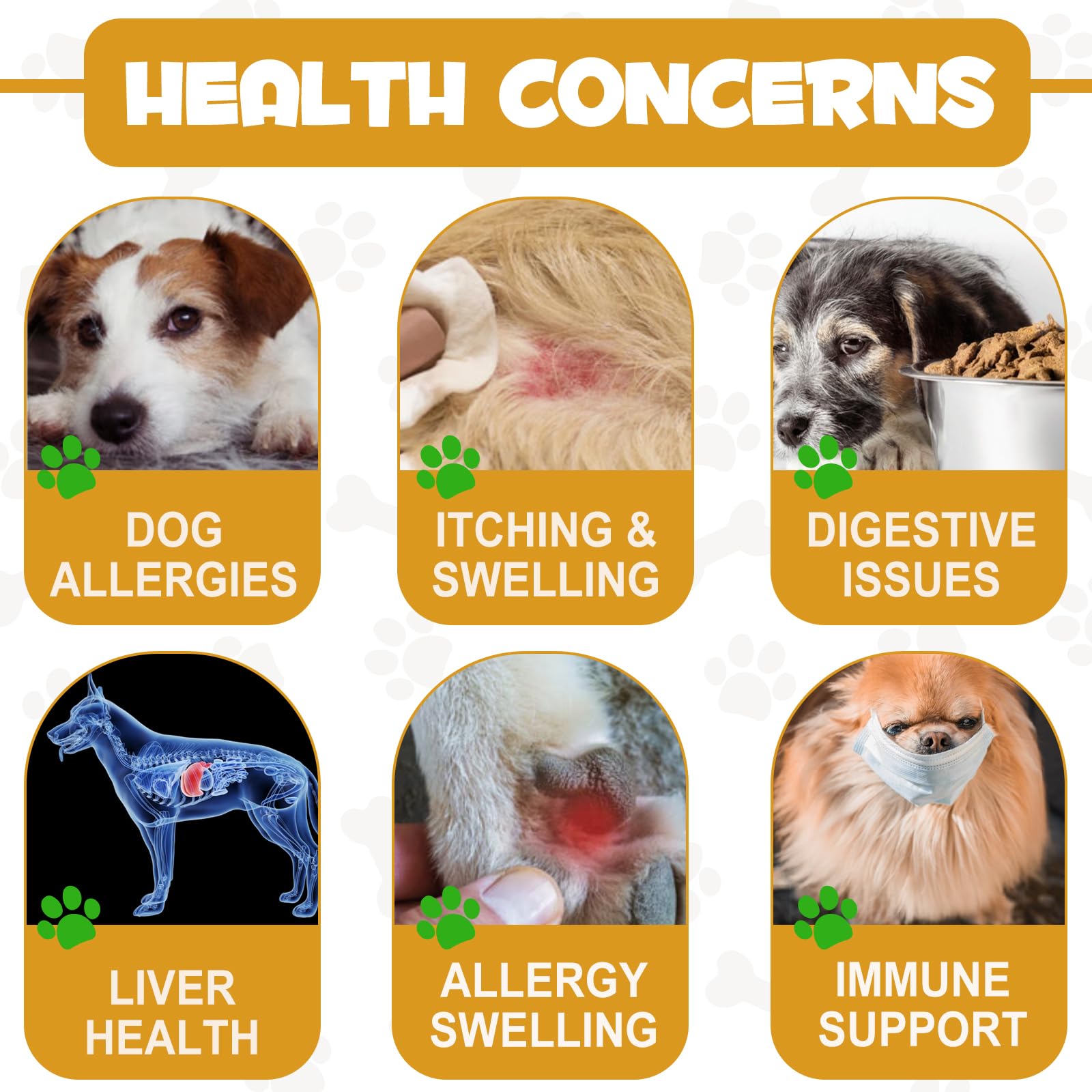 Allergy Relief Drops for Dogs,Allergy and Immune,Immune Support Supplement,Dog Supplement,Natural Pet Supplement for Dog Allergy Relief with Turmeric & Milk Thistle — Amazon image 5