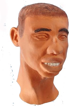 Buzz Foam Latex Hood Black