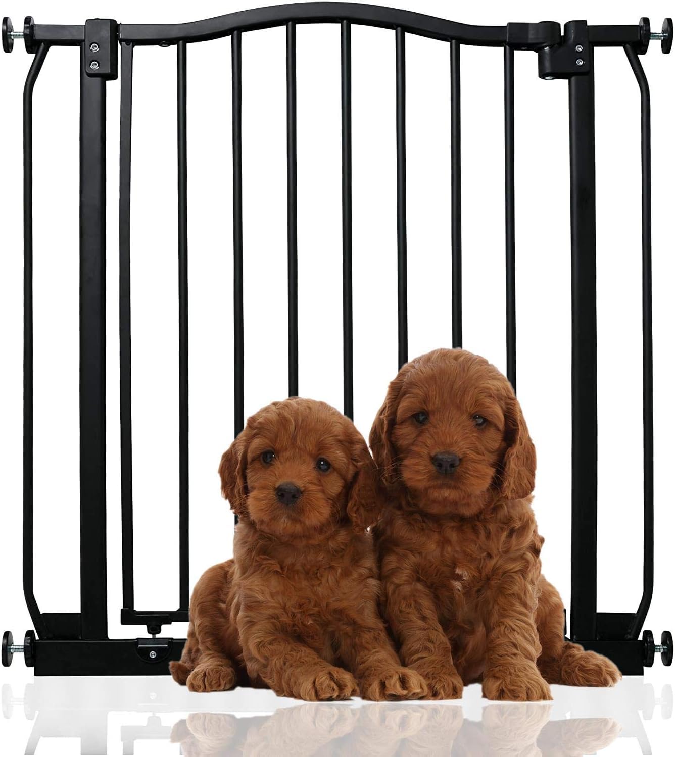 Bettacare Curved Top Dog Gate, 71cm - 80cm, Matt Black, Pressure Fit Pet Gate for Puppy and Dog, Easy Installation