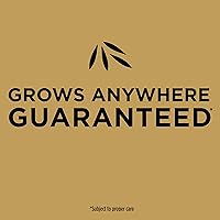 Vista 7 de Scotts EZ Seed Patch & Repair - Mantillo de sol y sombra, semillas de césped, combinación de fertilizantes para puntos desnudos y reparación, 3.75