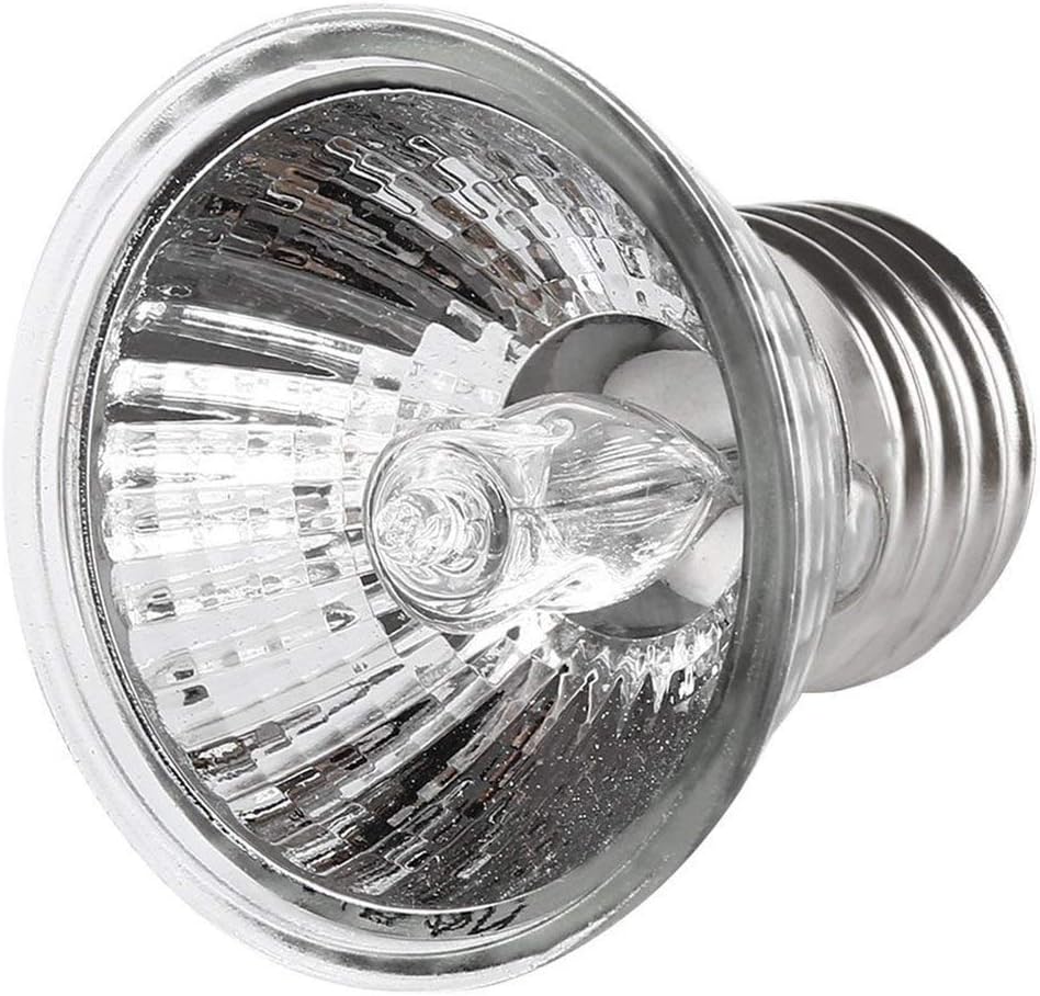 luce a spettro completo per rettili