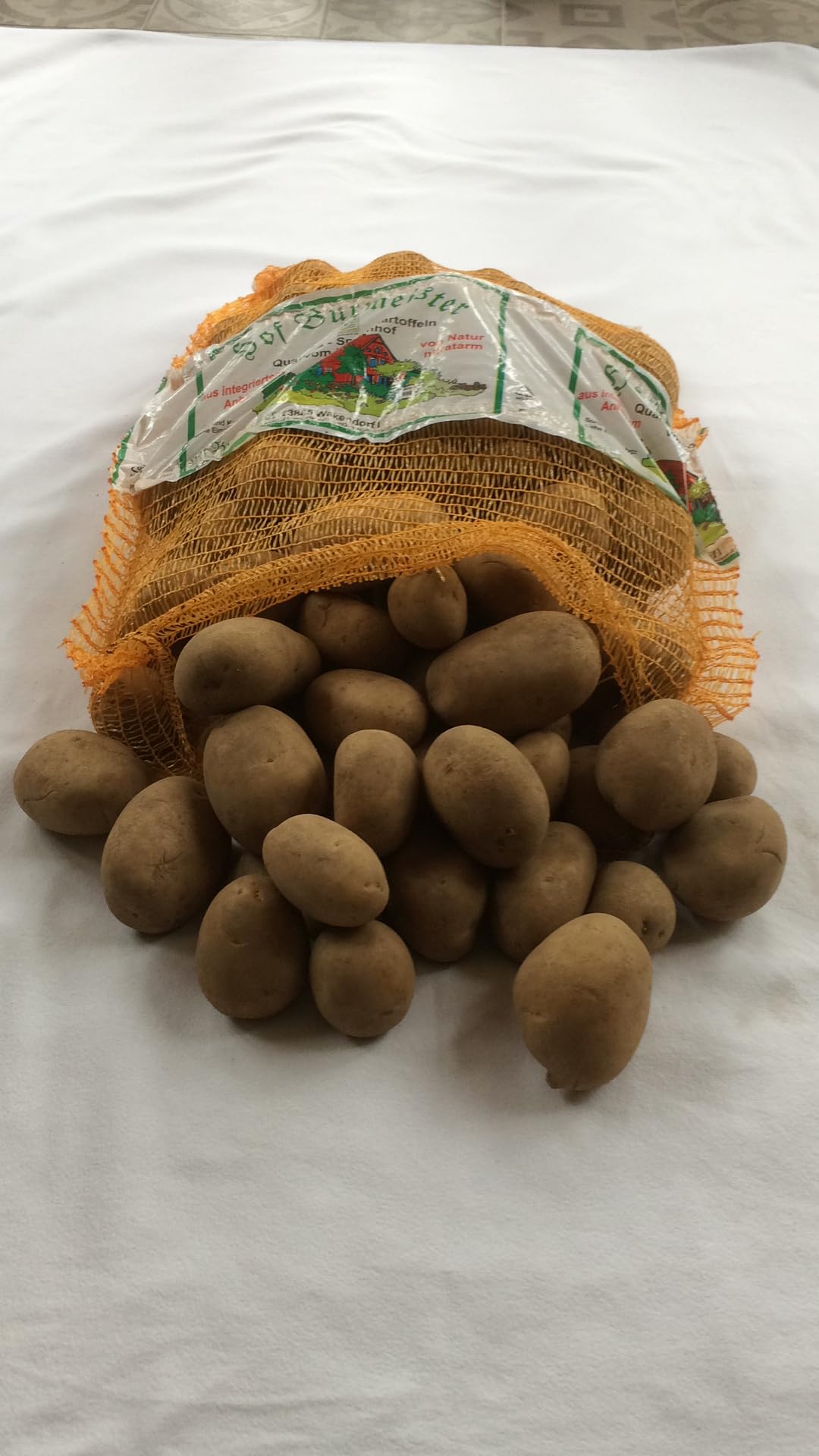 Hof Burmeister 10 kg Übergrößen Kartoffeln festkochend gelbfleischig