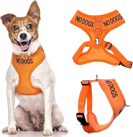 dog harness with warnings