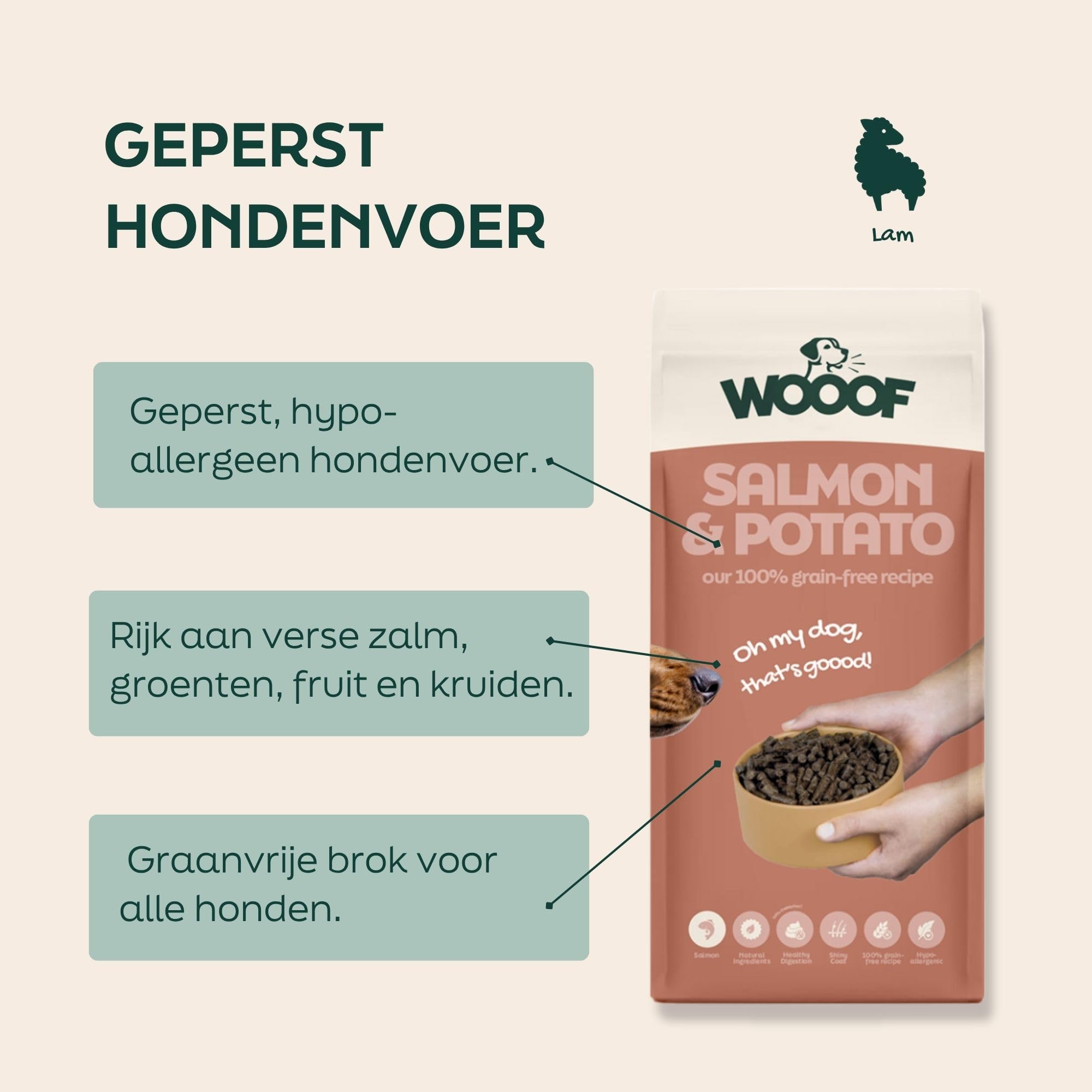 BF Petfood geperste hondenvoer met Zalm kopen? | Dierenshop Rex