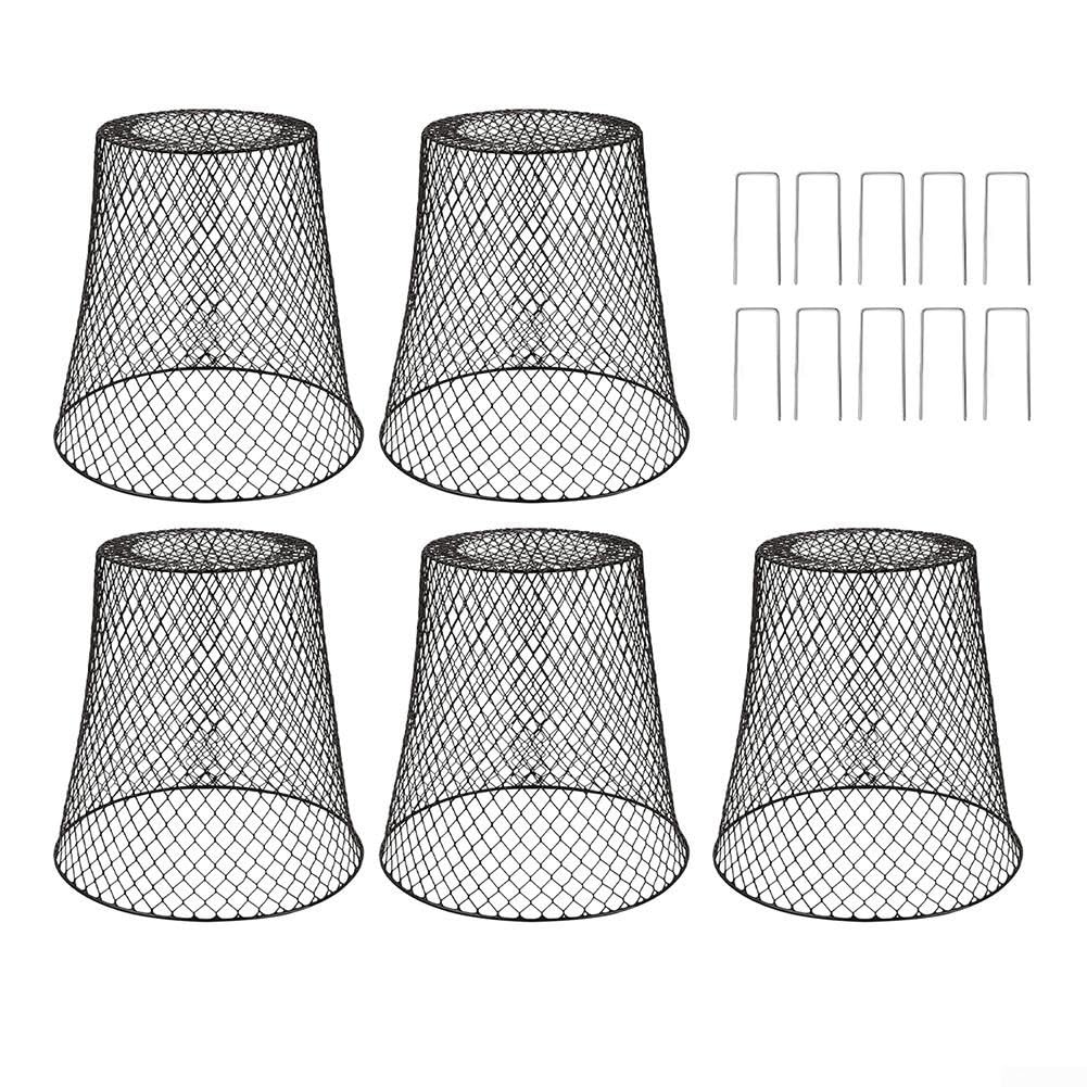 Lot de 5 cloches de jardin en métal avec piquets pour protection des cerfs et lapins, 23 x 23 cm (noir)