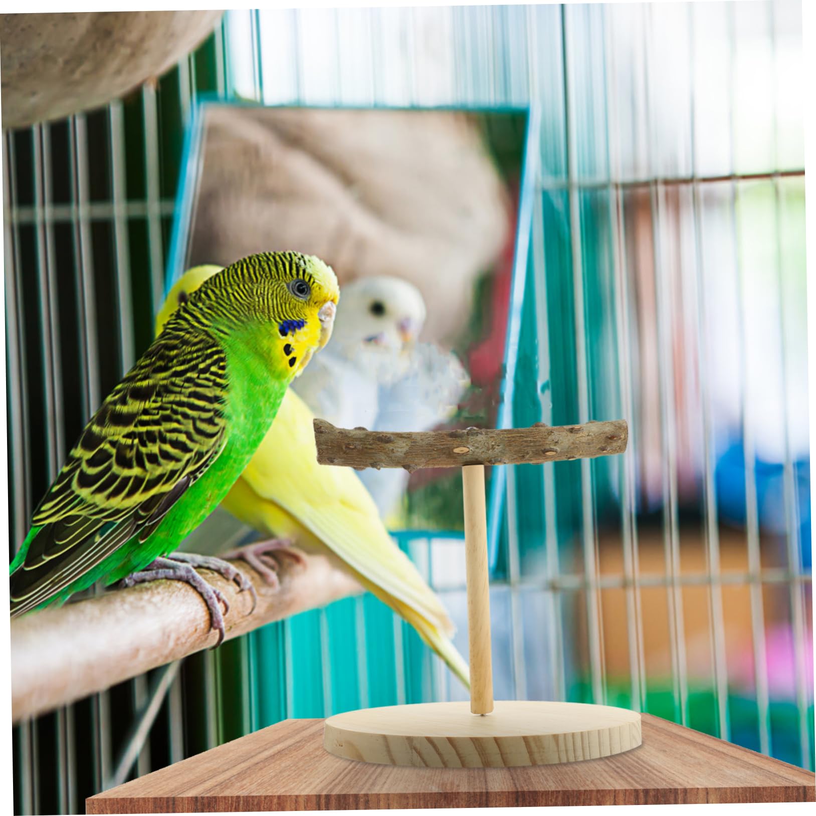 HANABASS Bird Perch Stand for Birds Parrot Perch and Training Stand for Parrots and Pets Creative Play and Exercise