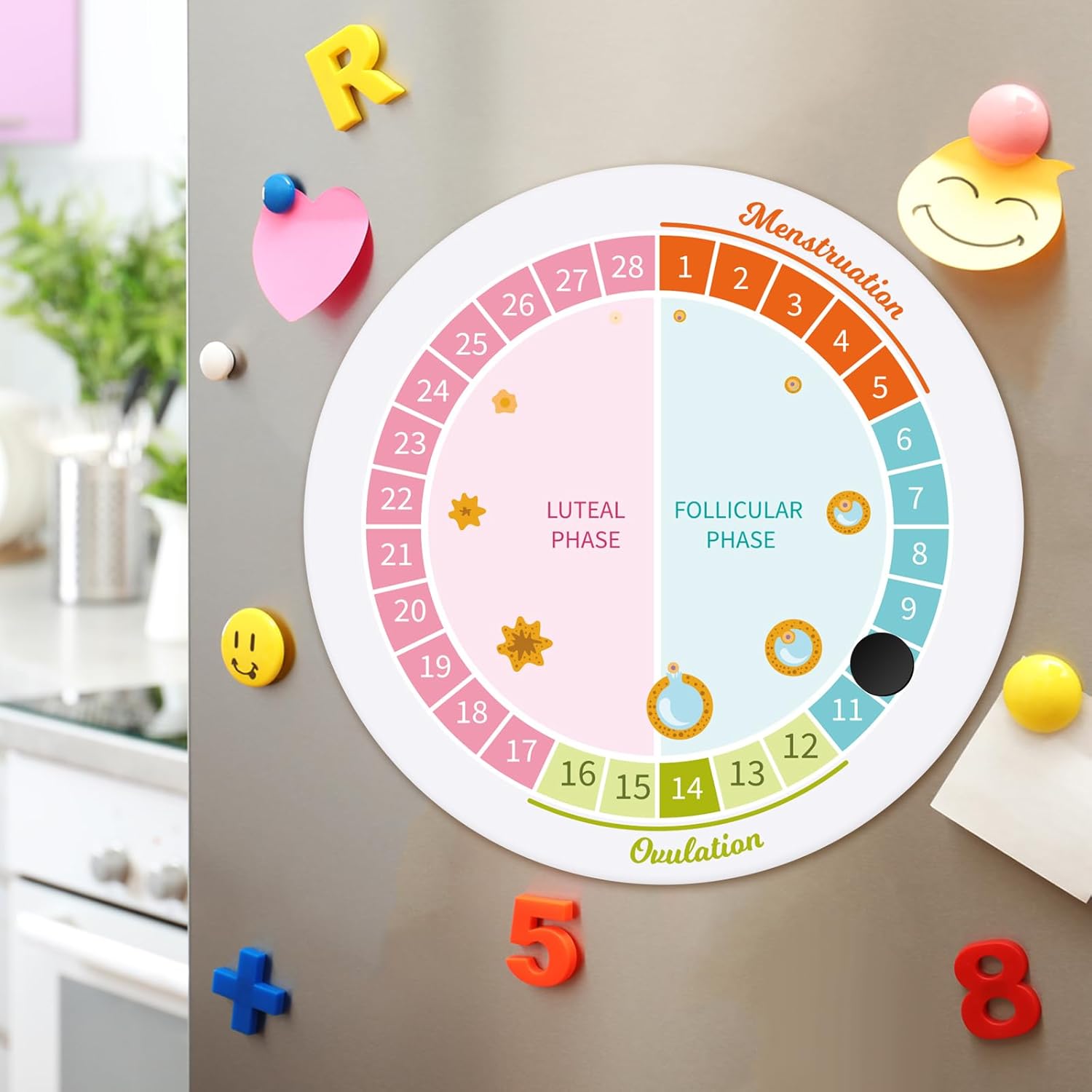 Fridge Magnet‌ vs.⁢ Tested Apps: Monthly ⁢Menstrual Tracking (You'll Love the Convenience!)