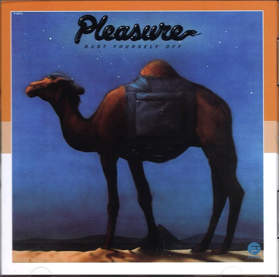 Pleasure Dust Yourself Off レコード lp Pleasure Dust Yourself Off レコード lp