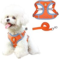 Vista 1 de Patas Lague Arnés para perro sin tirones con correa, arnés reflectante ajustable para perros medianos, arnés para mascotas con chaleco acolchado