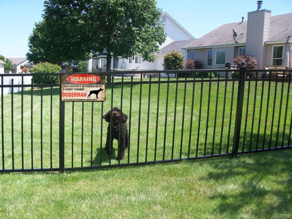 Panneau D'avertissement « Beware Of Dog » - Plaque En Métal