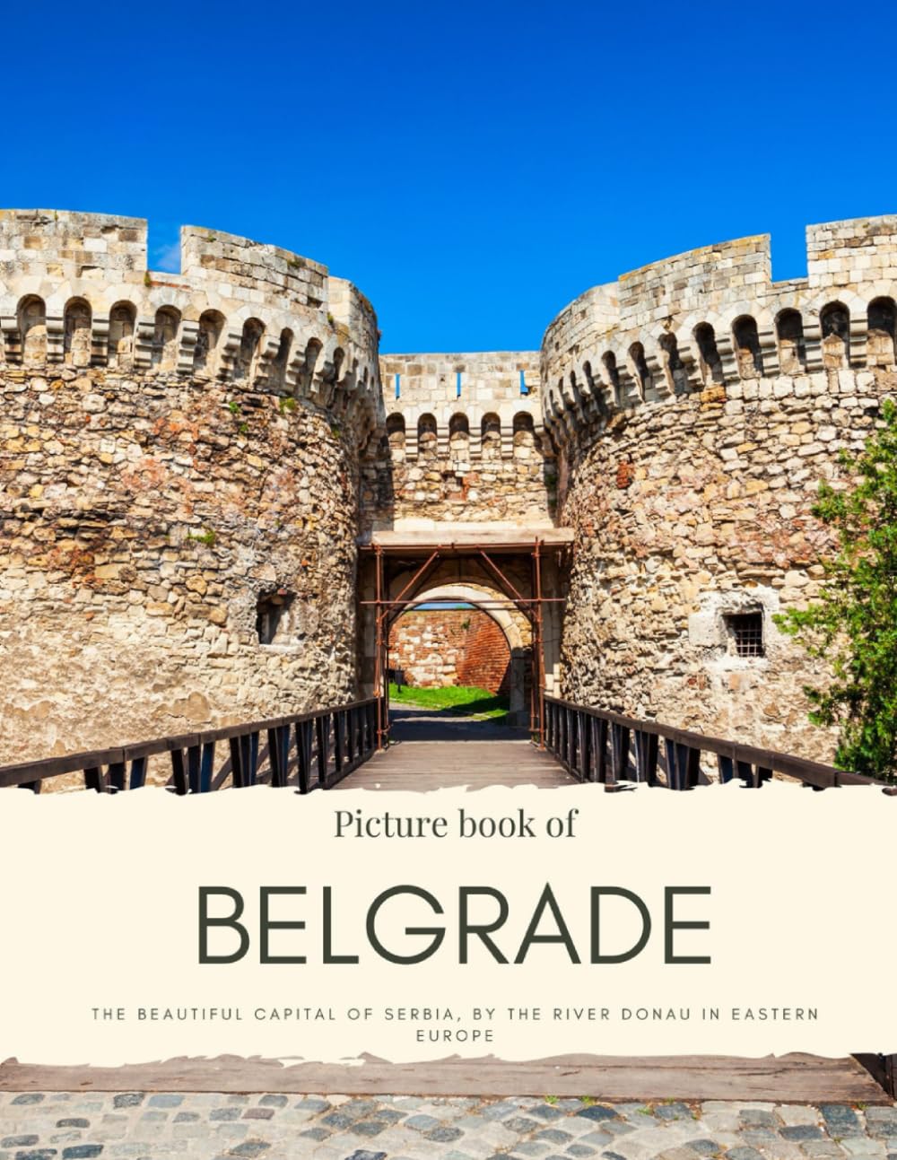 Picture Book of Belgrade: The beautiful Capital of Serbia, by the River Donau in Eastern Europe (Travel Coffee Table Books)